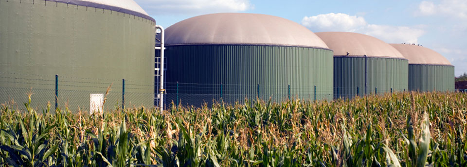 Biogas e Geotermico slide image